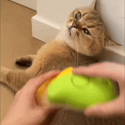 Steamy Brush for Cats | 3-in-1 Grooming Tool for Your Furry Friend!