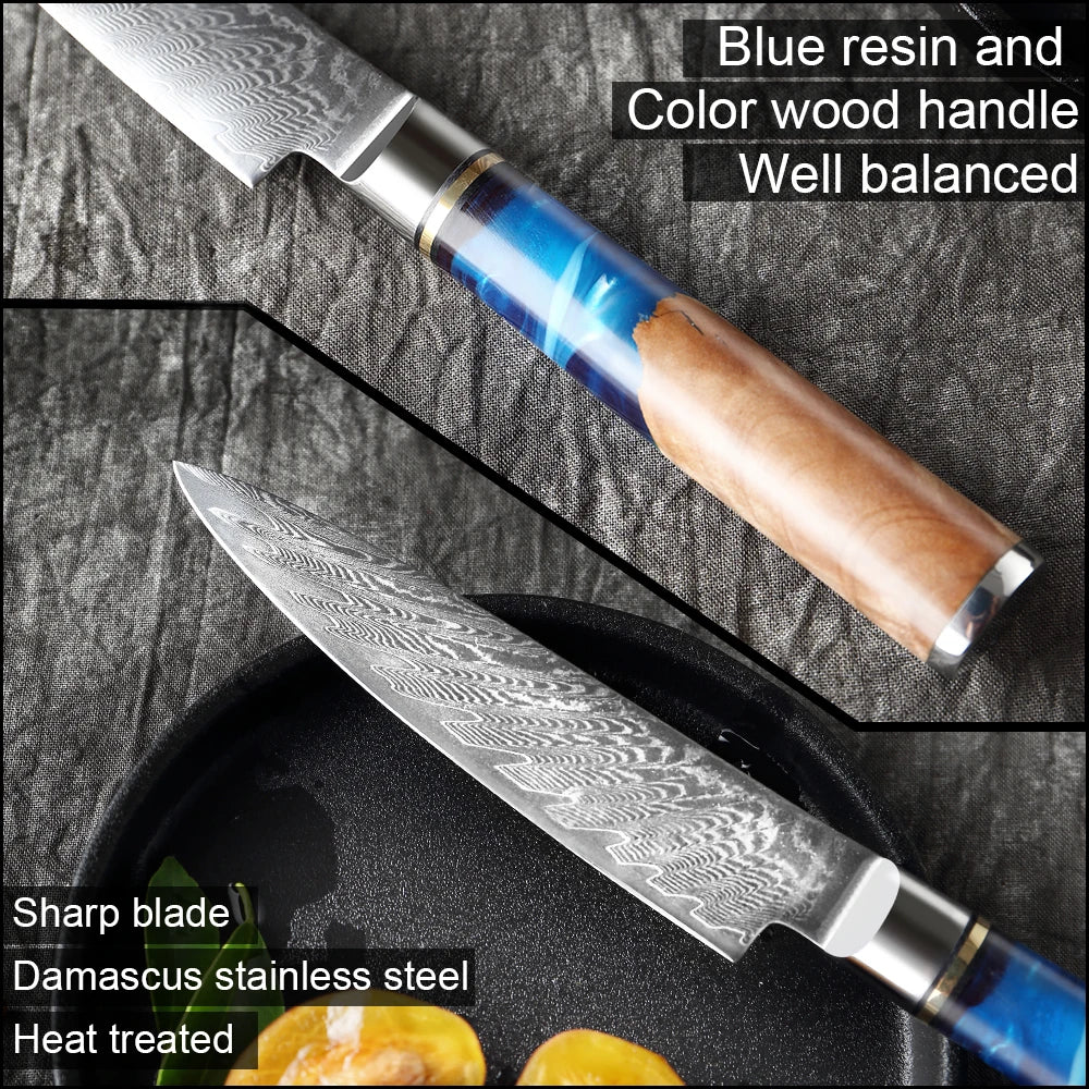 5-Inch VG10 Damascus Steel Paring Knife | Precision Japanese Blade with Abalone Handle