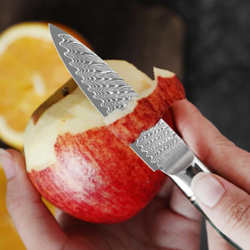 3.5-Inch Damascus Paring Knife | VG10 Steel | Precision Fruit & Vegetable Knife