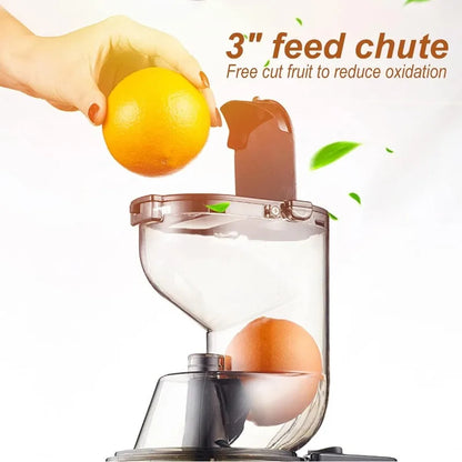 Cold Press Masticating Juicer | Effortless Nutrition, Every Day!