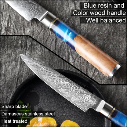 5-Inch VG10 Damascus Steel Paring Knife | Precision Japanese Blade with Abalone Handle